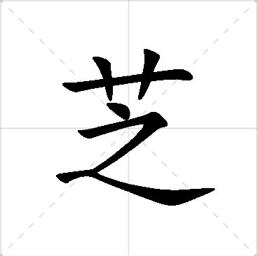 芝名字|芝的意思